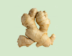 Ginger