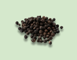 Black Pepper